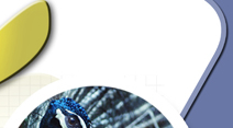 brochure design